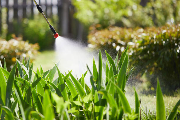 24/7 Emergency Mosquito Control experts in Clarcona, FL