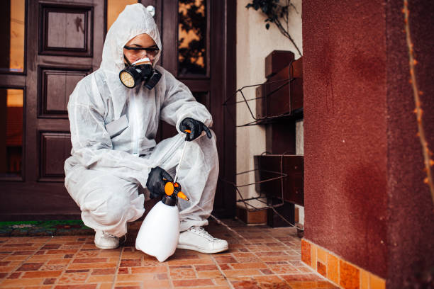 Reliable Mosquito Control contractor in Clarcona, FL by Show Me Pest Control